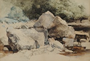 Rochers dans un ruisseau de montagne